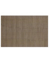 Set de table couleurs beige, marron, bleu clair 45x30 cm, 70% PVC et 30% PET 