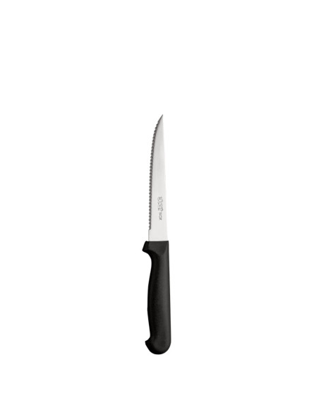 Lot de 12 Couteaux à viande pointus Rost 