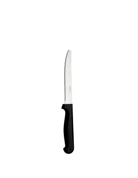 Lot de 6 Couteaux à viande pointe ronde Rost 