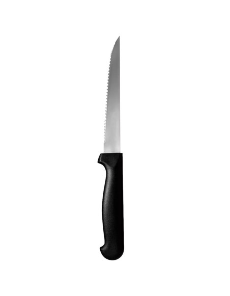 Lot de 6 Couteaux à viande pointus Rost 