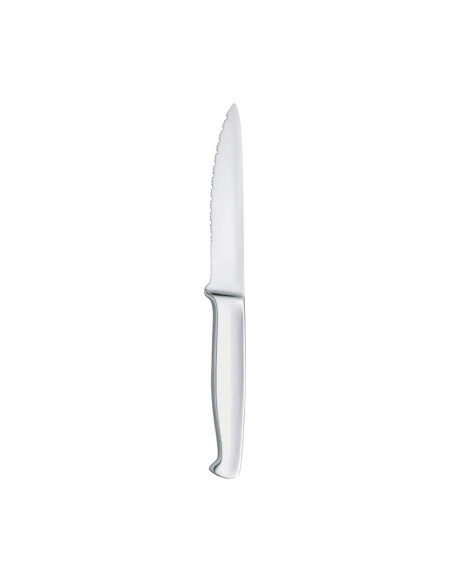 Fiorentina couteau à viande L.230 mm 