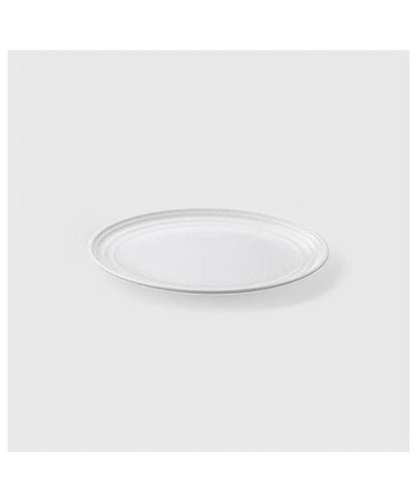 Assiette ronde blanche en mélamine Dimensions:standard - Ø24X2H cm