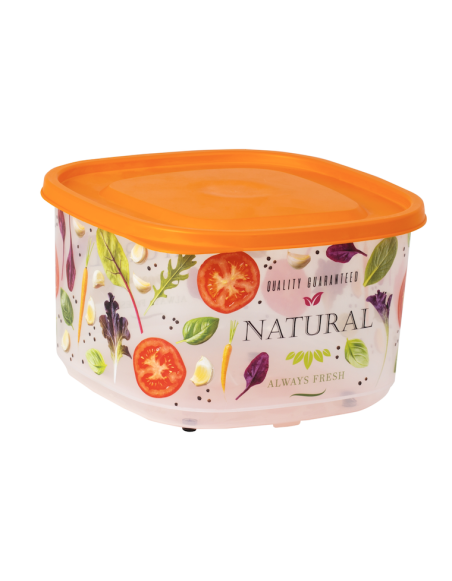 Boîte XL alimentaire 4,2L, décor légumes Couleur:Orange