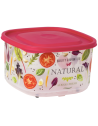Boîte XL alimentaire 4,2L, décor légumes Couleur:Rose